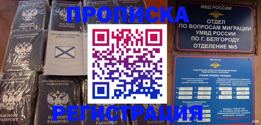 прописка гарантия в Новосибирской области